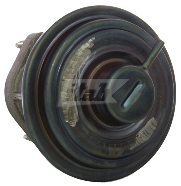 EGR Valve (73072013AV)