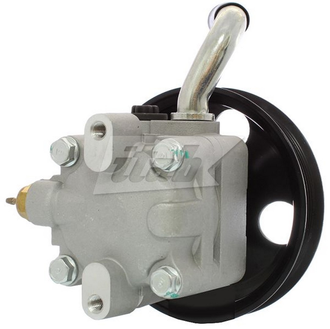 Hydraulic Pump, steering (42085107AV)