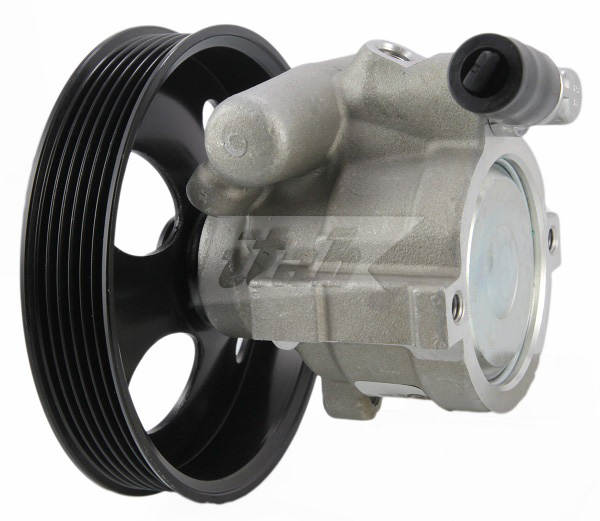 Hydraulic Pump, steering (42077125AV)