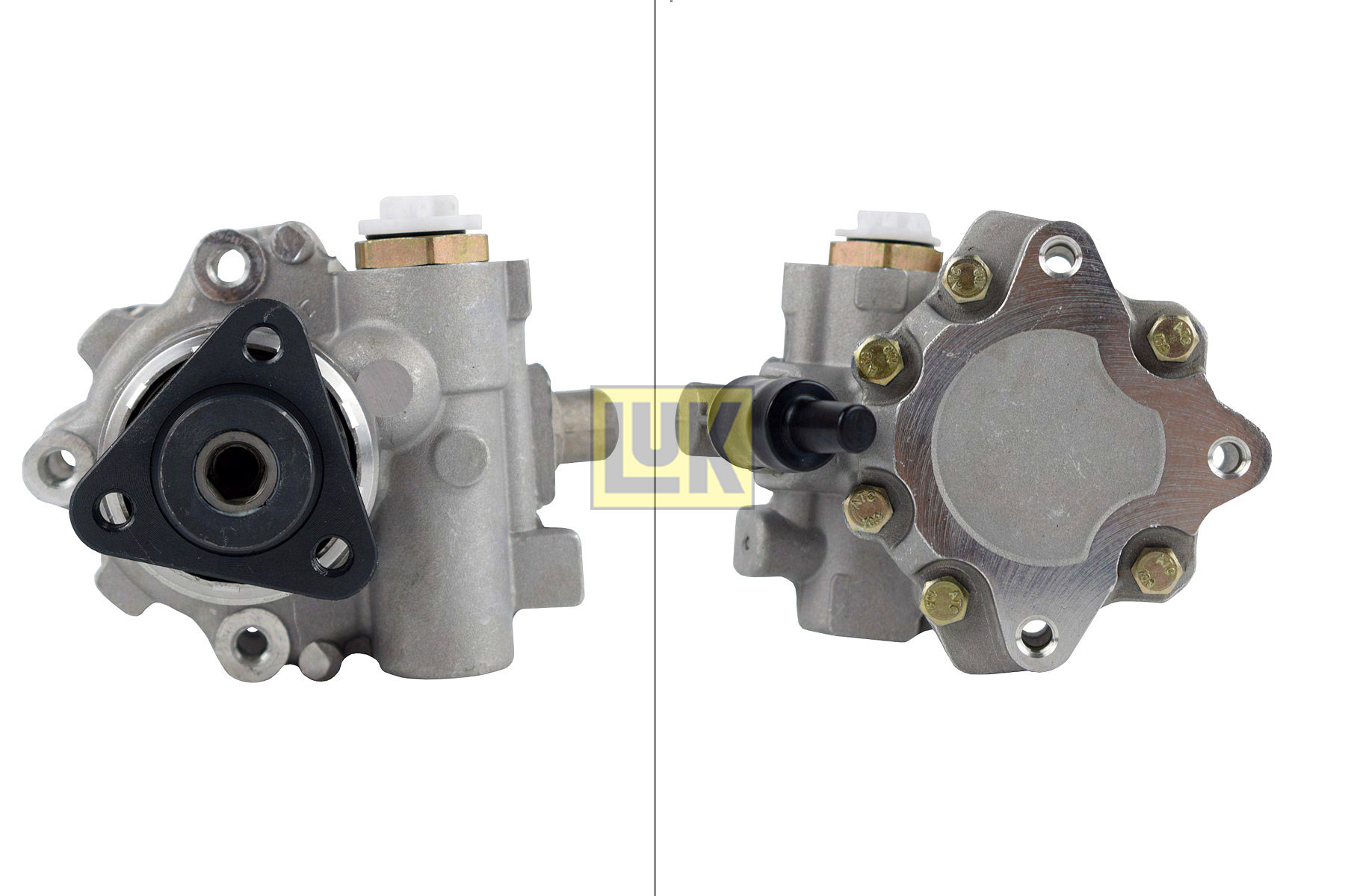 Hydraulic Pump, steering (541 0084 10)
