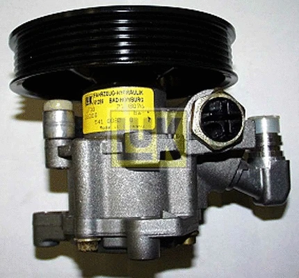 Hydraulic Pump, steering (541 0082 10)