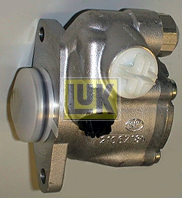 Hydraulic Pump, steering (542 0050 10)