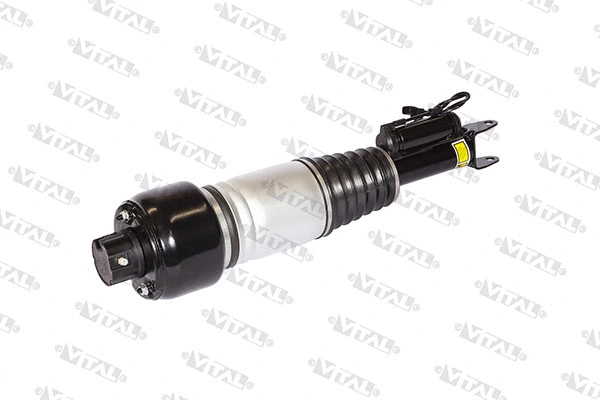 Air Suspension Strut (170011)
