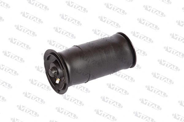 Air Spring, suspension (750070)