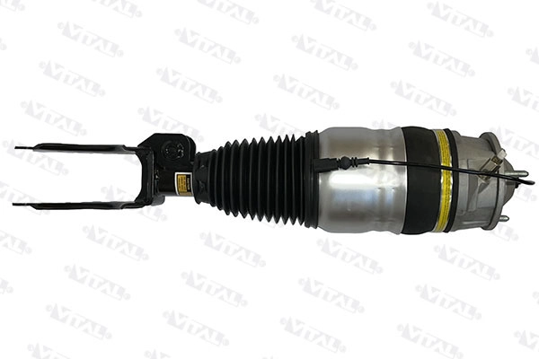 Air Suspension Strut (170029)