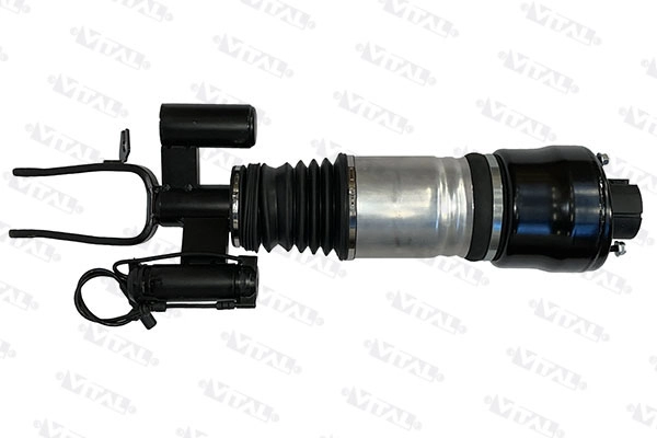 Air Suspension Strut (170048)