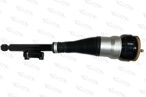 Air Suspension Strut (170038)