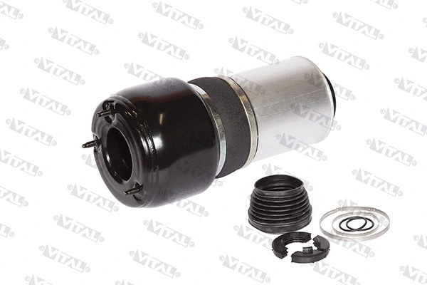 Air Spring, suspension (750190)