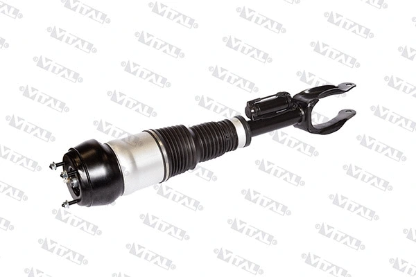 Air Suspension Strut (170003)