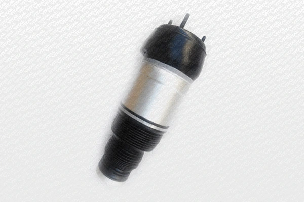 Air Spring, suspension (750282)