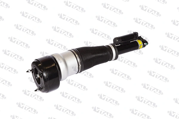 Air Suspension Strut (170009)