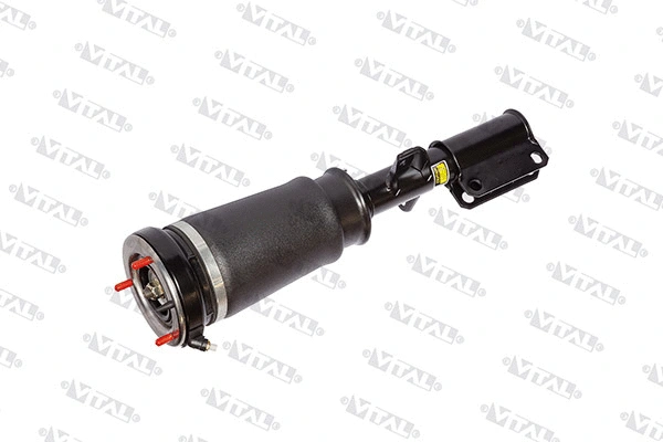 Air Suspension Strut (170004)