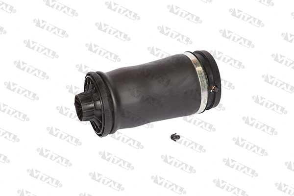 Air Spring, suspension (750010)