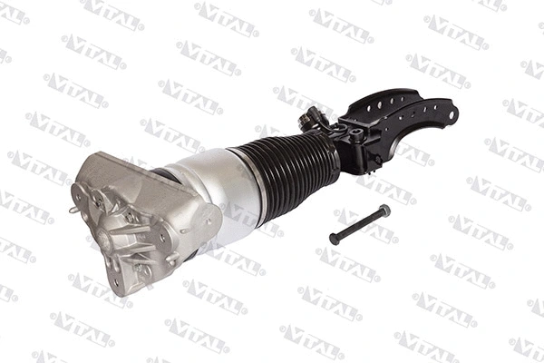 Air Suspension Strut (170016)