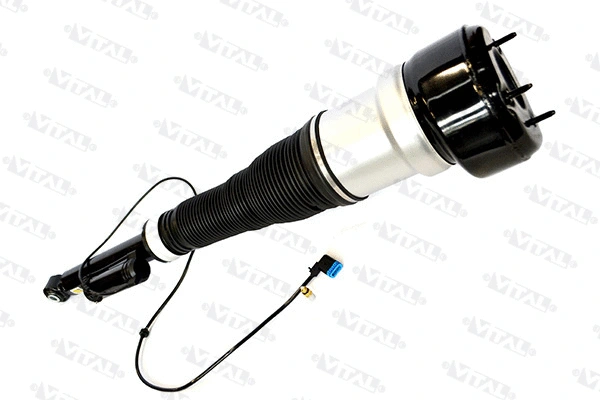 Air Suspension Strut (170044)