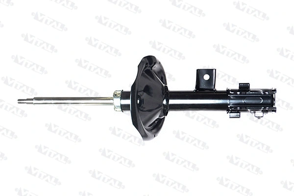 Shock Absorber (110910.1)