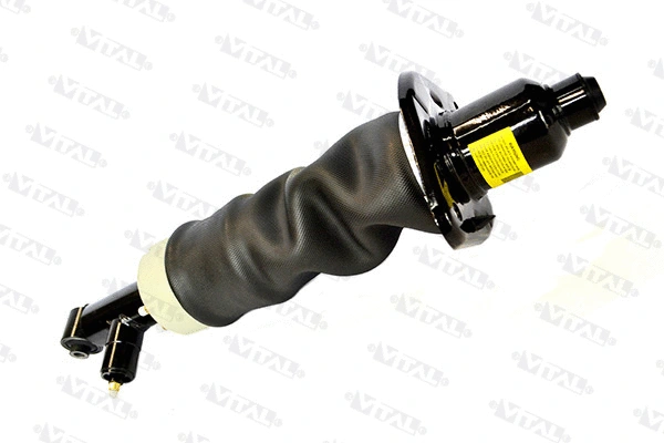 Air Suspension Strut (170019)