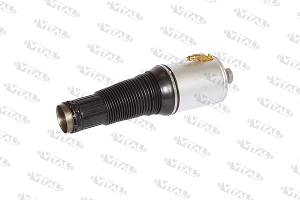 Air Spring, suspension (750120)