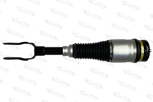 Air Suspension Strut (170061)