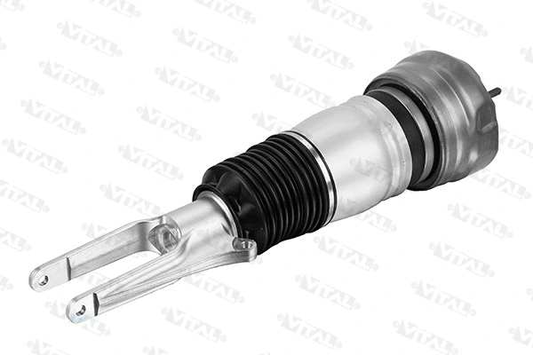 Air Suspension Strut (170050)