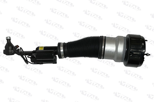 Air Suspension Strut (170041)