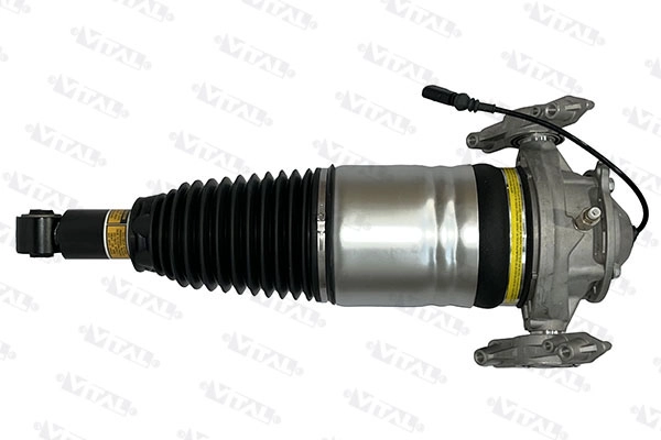 Air Suspension Strut (170032)