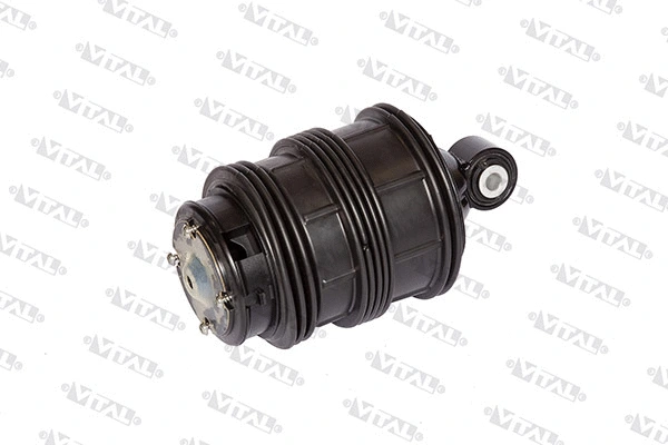 Air Spring, suspension (750170)
