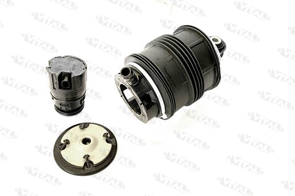 Air Spring, suspension (750161)