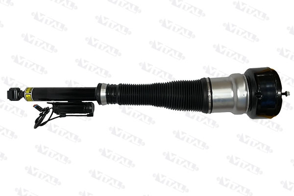 Air Suspension Strut (170043)