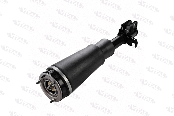 Air Suspension Strut (170055)