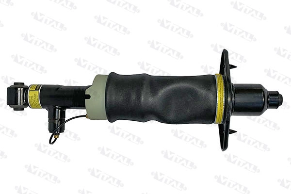 Air Suspension Strut (170020)