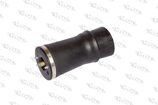 Air Spring, suspension (750111)