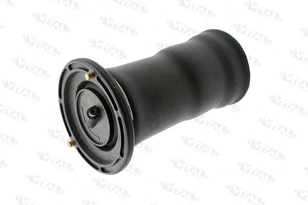 Air Spring, suspension (750410)