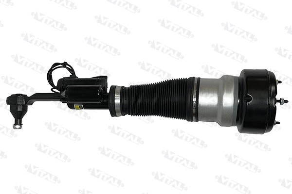 Air Suspension Strut (170042)