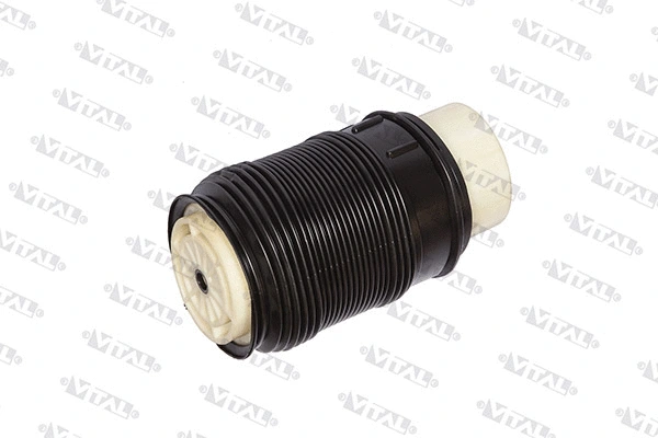 Air Spring, suspension (750182)