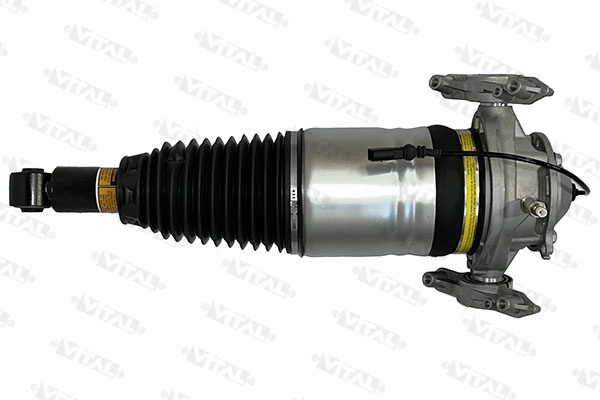 Air Suspension Strut (170031)
