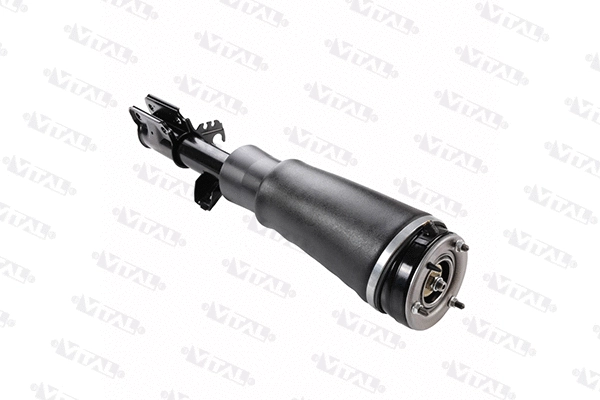 Air Suspension Strut (170052)