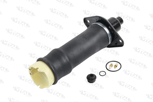 Air Spring, suspension (750332)