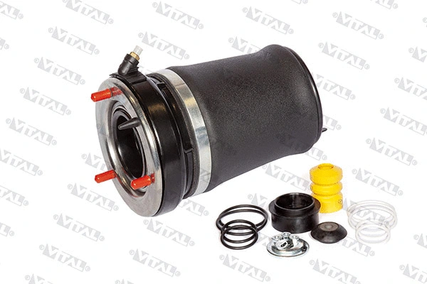 Air Spring, suspension (750041)
