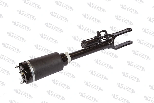 Air Suspension Strut (170001)