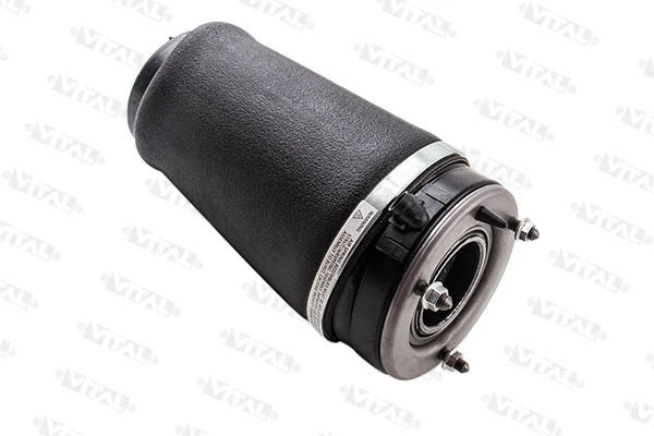 Air Spring, suspension (750642)