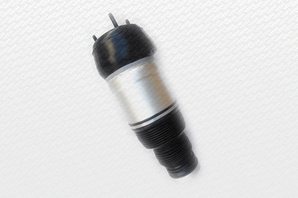 Air Spring, suspension (750281)