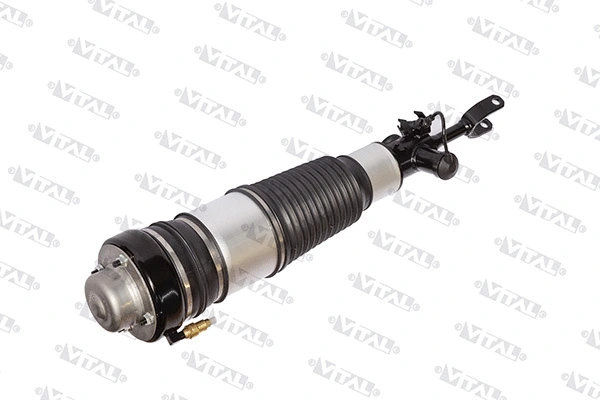 Air Suspension Strut (170014)