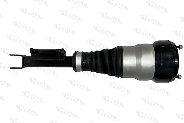 Air Suspension Strut (170039)