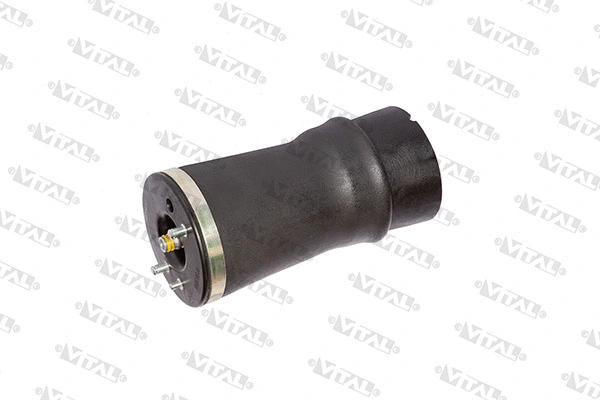 Air Spring, suspension (750031)