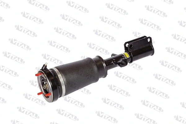 Air Suspension Strut (170005)