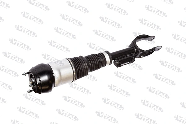 Air Suspension Strut (170002)