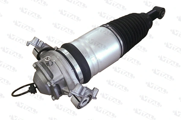 Air Suspension Strut (170027)