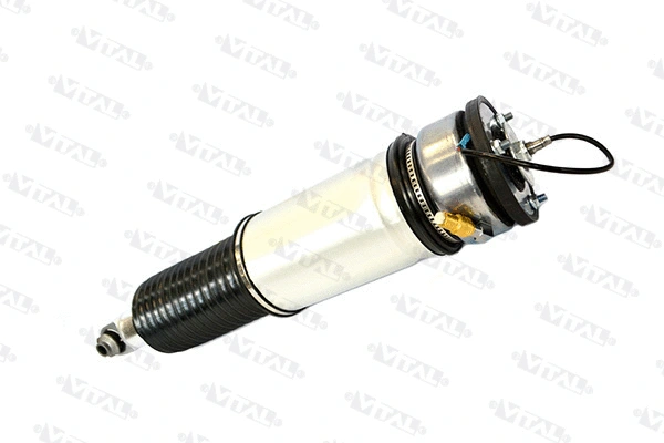 Air Suspension Strut (170033)