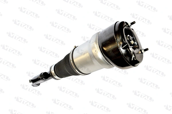 Air Suspension Strut (170040)